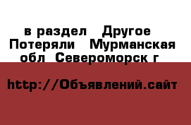  в раздел : Другое » Потеряли . Мурманская обл.,Североморск г.